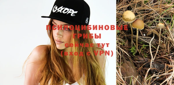 a pvp Нягань