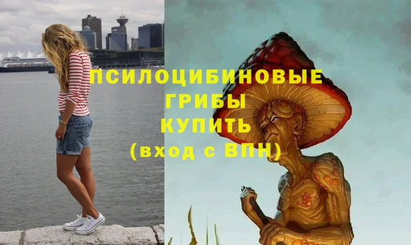 мескалин Нязепетровск