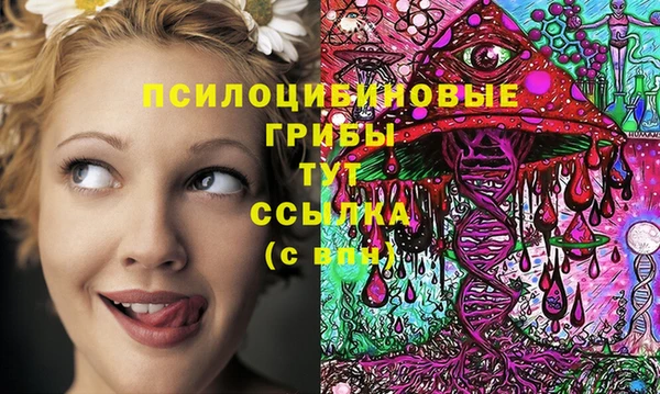 стафф Галич