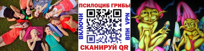 Галлюциногенные грибы Psilocybe  купить наркотик  Колпашево 